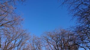 DSC_8806-300x169 DSC_8806